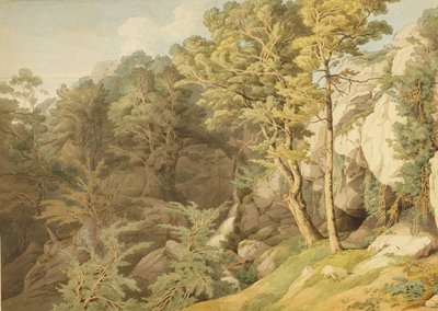 Canonteign, Devon, 1804 de John White Abbott